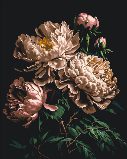 Paint by Numbers on a 40*50 cm frame Flowers - Peonies on a dark background LW 2003