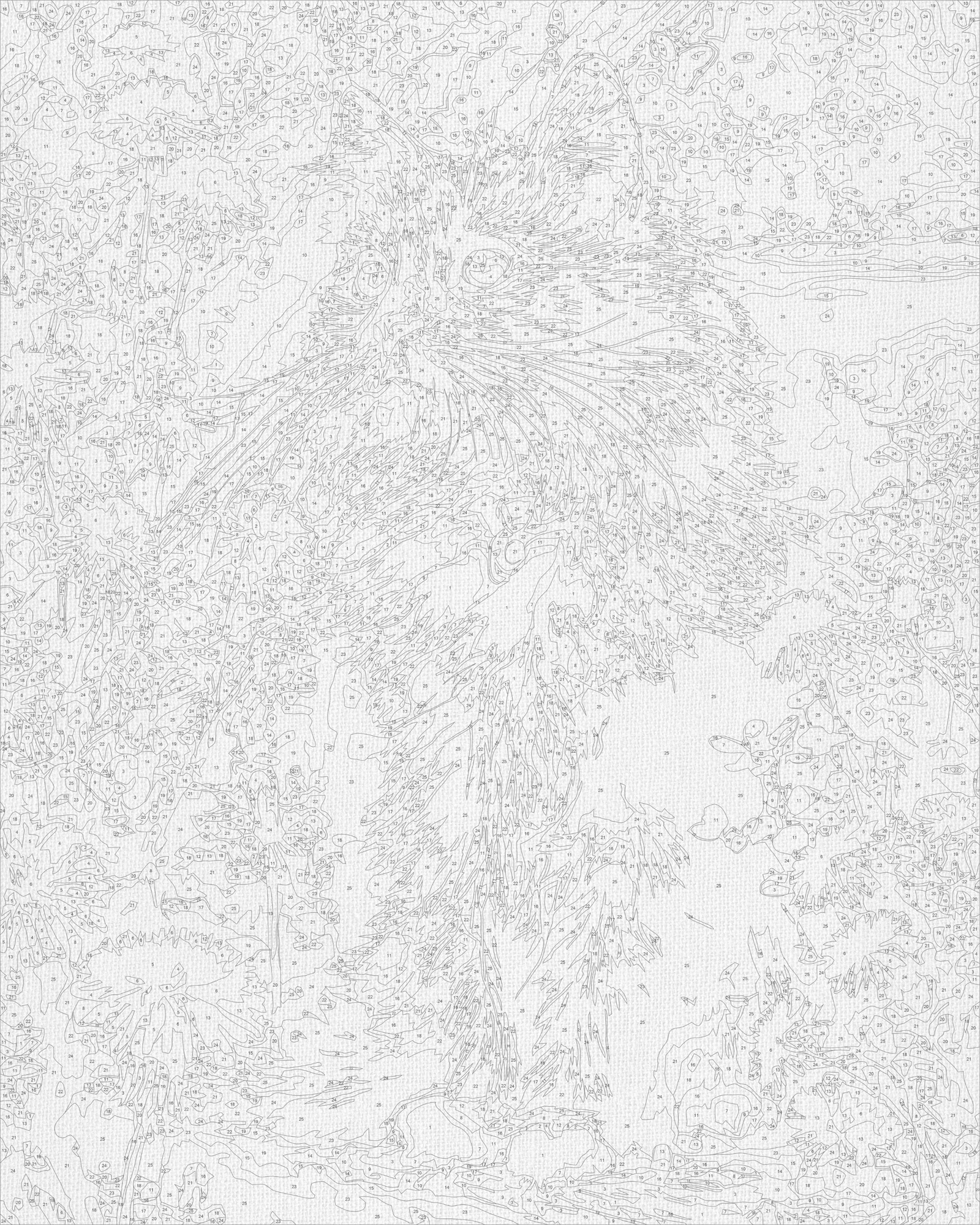 Maľovanie podľa čísel na ráme 40*50 cm - Mačiatko v púpavách - Zvieratá - LW 3009-01