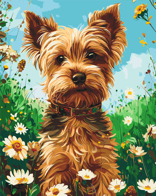 Maľovanie podľa čísel na ráme 40*50 cm - Jorkšírsky teriér - Zvieratá - LW 30470