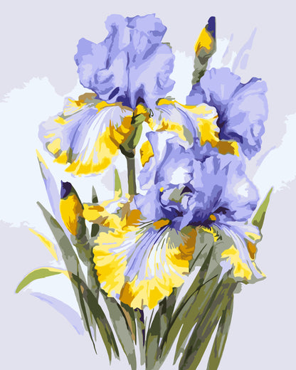 Paint by Numbers on a 40*50 cm frame – Iris Bouquet. Flowers LW 31600