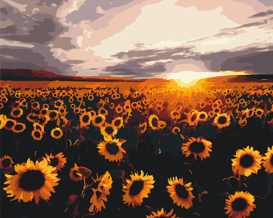 Paint by numbers on a 40*50 cm frame Landscape/Flowers. Sunflower field LW 3175
