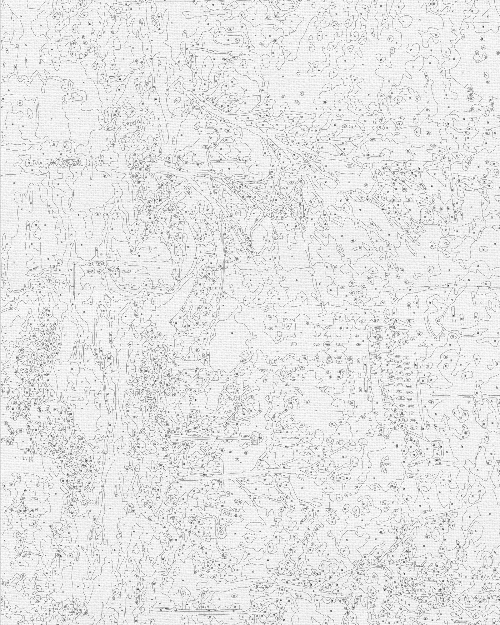 Maľovanie podľa čísel na ráme 40*50 cm - Central Park v New Yorku - Krajinka - LW 3256