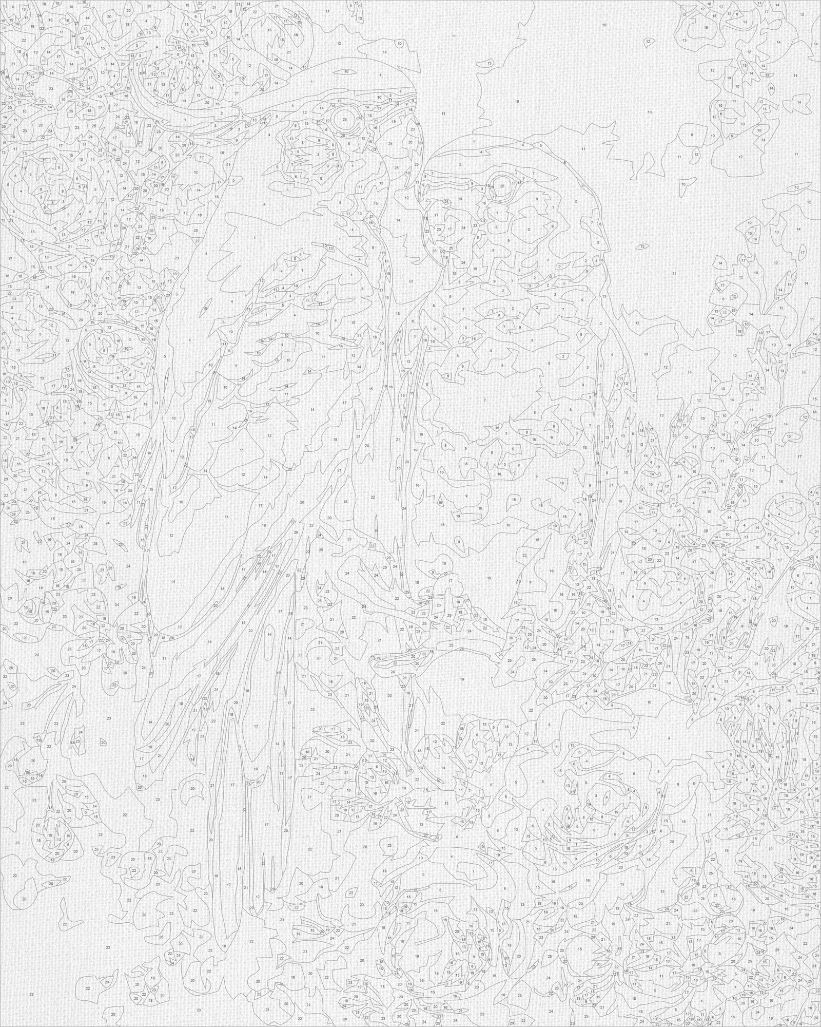 Maľovanie podľa čísel na ráme 40*50 cm - Pár papagájov - Zvieratá - LW 3271-01