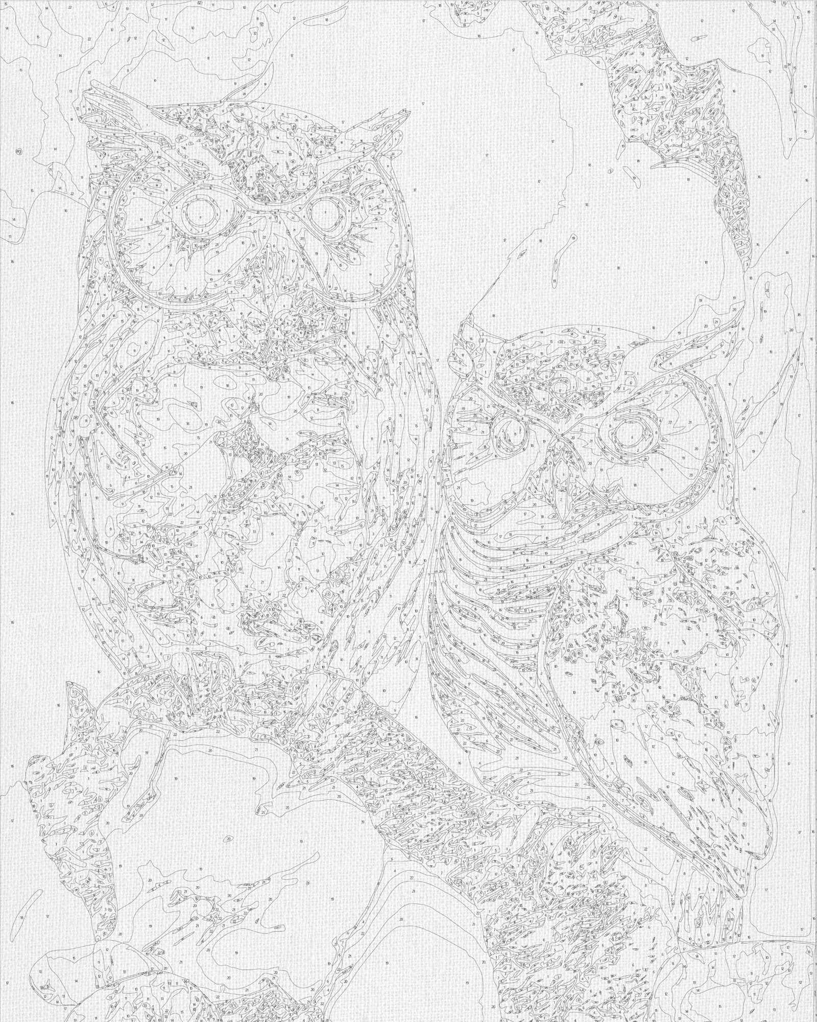Paint by Numbers on a 40*50 cm frame Animals. Two owls with Metallic Paints LW 3405