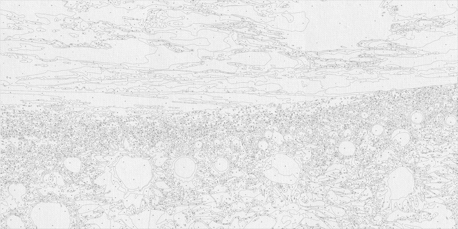 Paint by Numbers on a 40*80 cm frame, landscape, Sunflower Field LW 5099