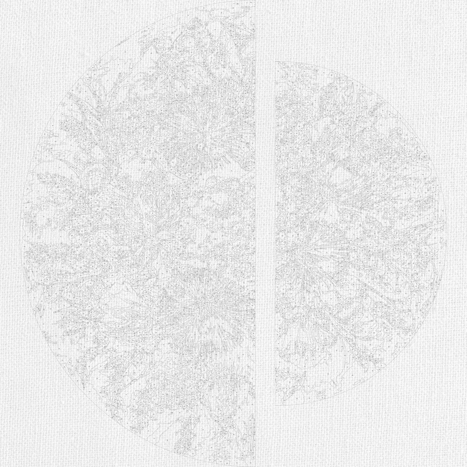 Maľovanie podľa čísel na ráme ⌀50 cm + ⌀70 cm - Fialové leto - Kvety - OSR 1019