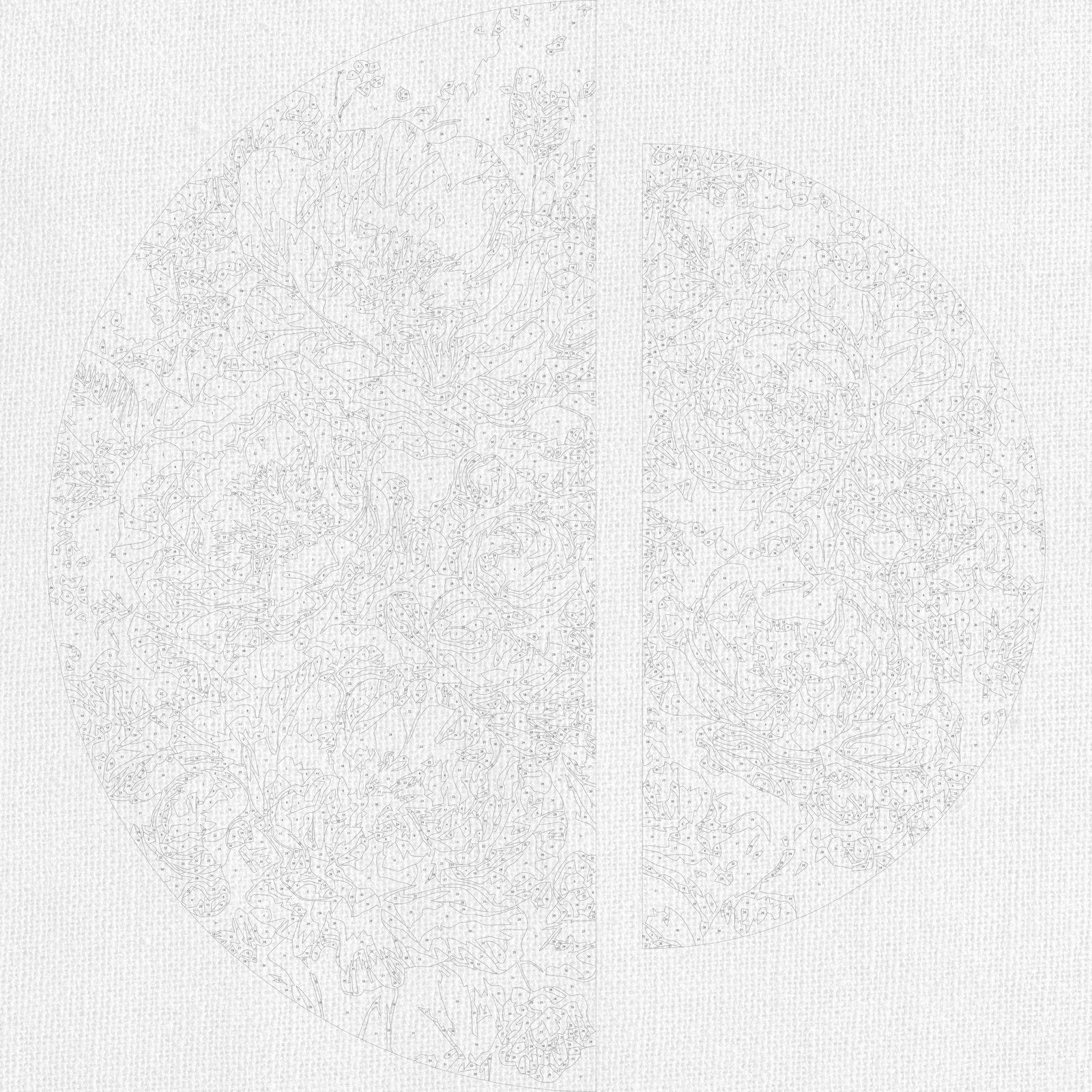 Maľovanie podľa čísel na ráme ⌀50 cm + ⌀70 cm - Harmónia lupienkov - Kvety - OSR 1020